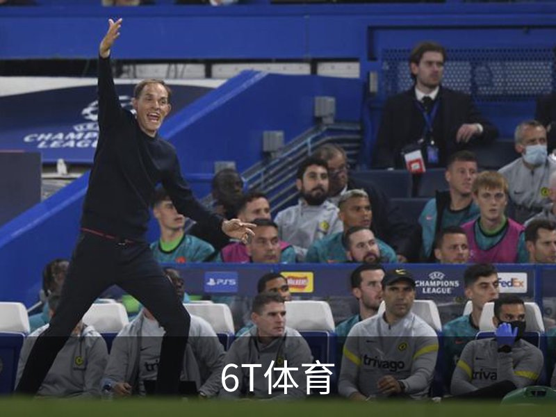 走进6T体育